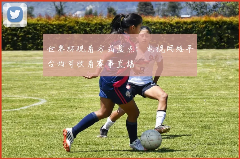世界杯观看方式盘点:电视网络平台均可收看赛事直播