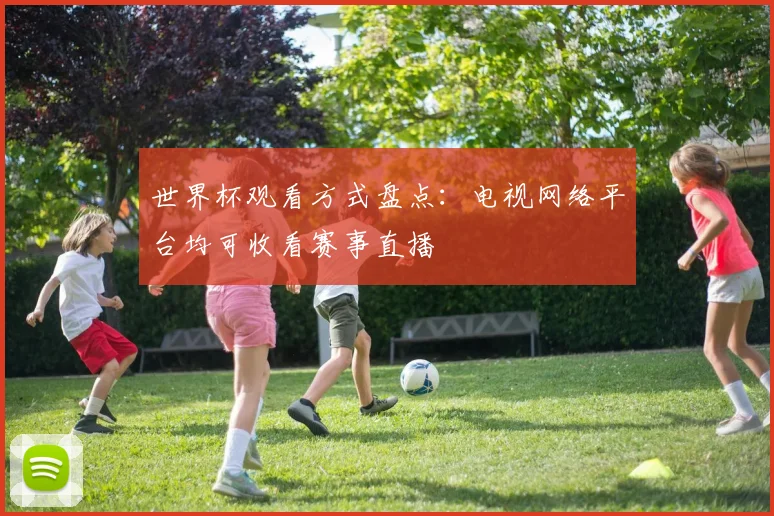 世界杯观看方式盘点:电视网络平台均可收看赛事直播